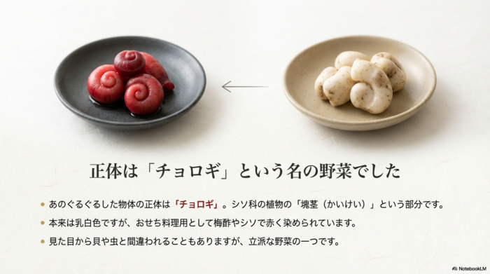 ぐるぐるした物体の正体はシソ科の「チョロギ」という野菜の塊茎であり、本来は乳白色だがおせち用に赤く染められていることを説明するスライド。