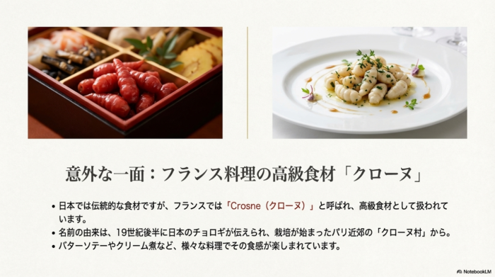 フランスでは「クローヌ（Crosne）」と呼ばれ、バターソテーなどで楽しまれる高級食材であることを紹介するスライド。