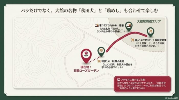 周辺観光も一緒に楽しもう